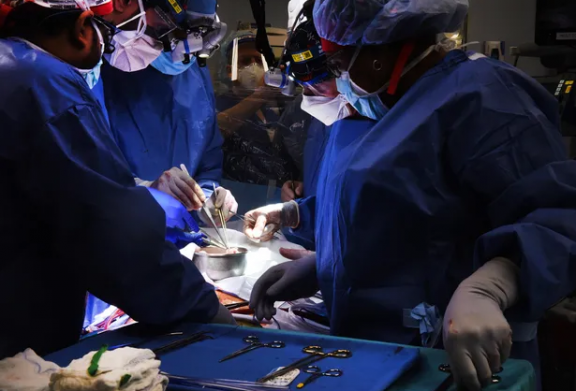First-ever pig-to-human heart transplant offers hope for thousands in need of organs