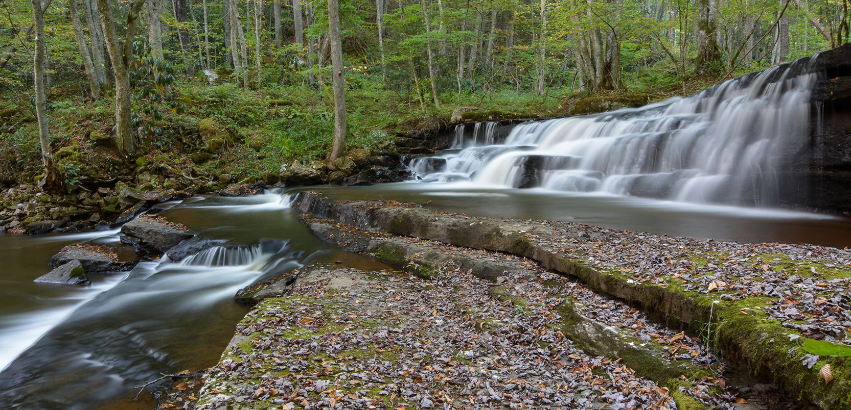 Shenandoah national park