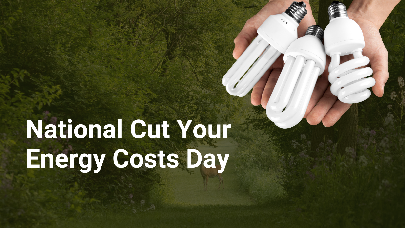 National Cut Your Energy Costs Day at the Virginia Tech Corporate Research Center